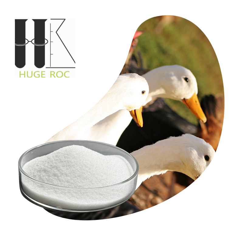 Betaine Hydrochloride